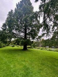 Photo of Picturesque view of park with beautiful trees