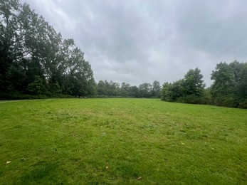 Photo of Picturesque view of beautiful park with green grass