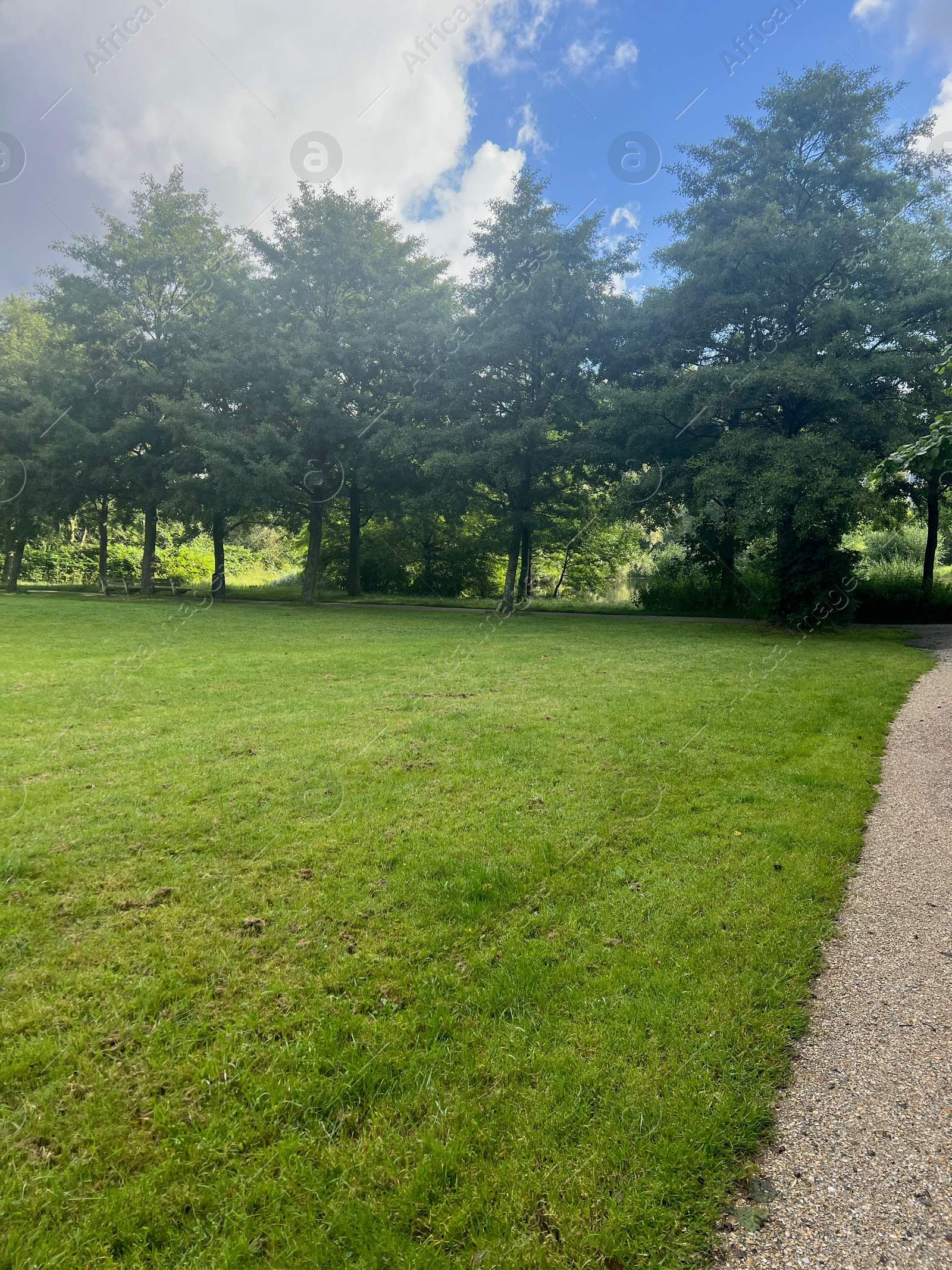 Photo of Picturesque view of park with trees in summer