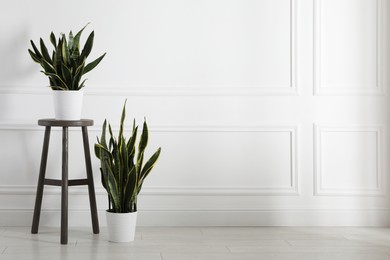 Photo of Stool and houseplants near white wall at home, space for text