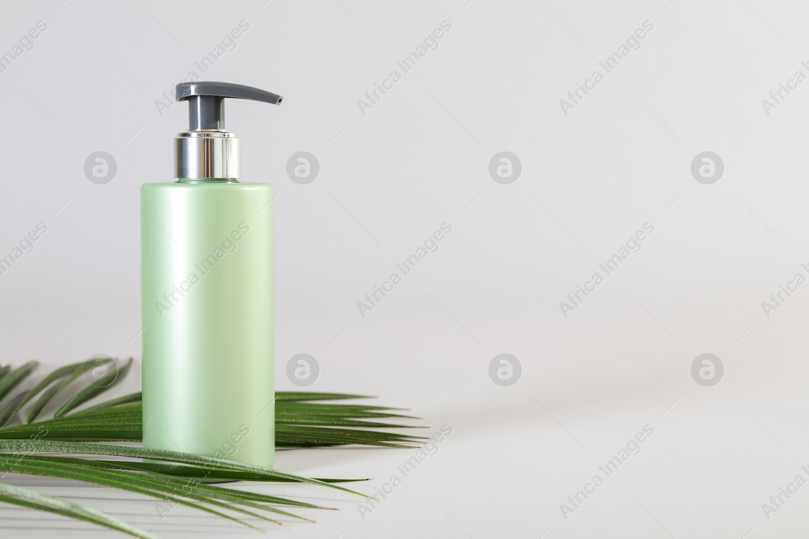 Photo of Bottle of shampoo and palm leaf on light background. Space for text