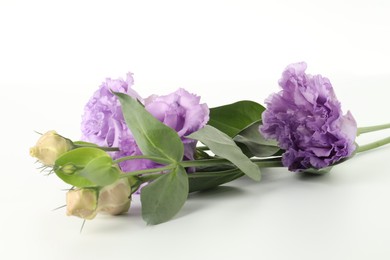 Photo of Beautiful violet eustoma flowers with green leaves on white background