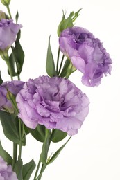 Photo of Bouquet of violet eustoma flowers with green leaves on white background