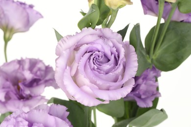 Photo of Beautiful violet eustoma flowers with green leaves on white background