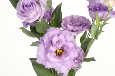 Photo of Beautiful violet eustoma flowers with green leaves on white background