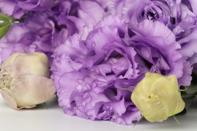 Photo of Beautiful violet eustoma flowers on white background, closeup