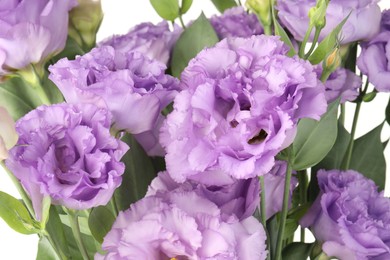 Photo of Beautiful violet eustoma flowers on white background, closeup