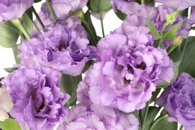 Photo of Beautiful violet eustoma flowers with green leaves, closeup