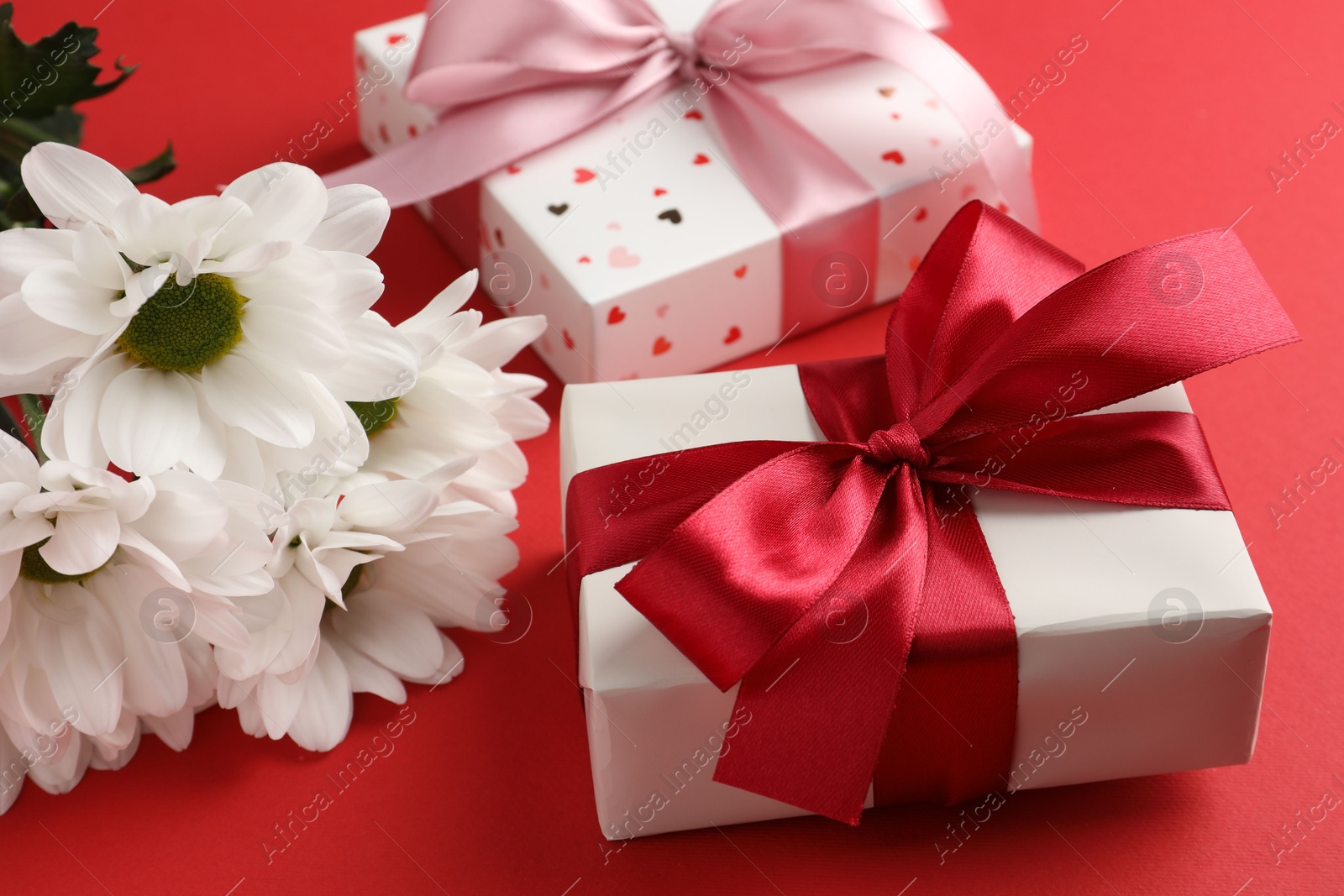 Photo of Gift boxes with bows and flowers on red background