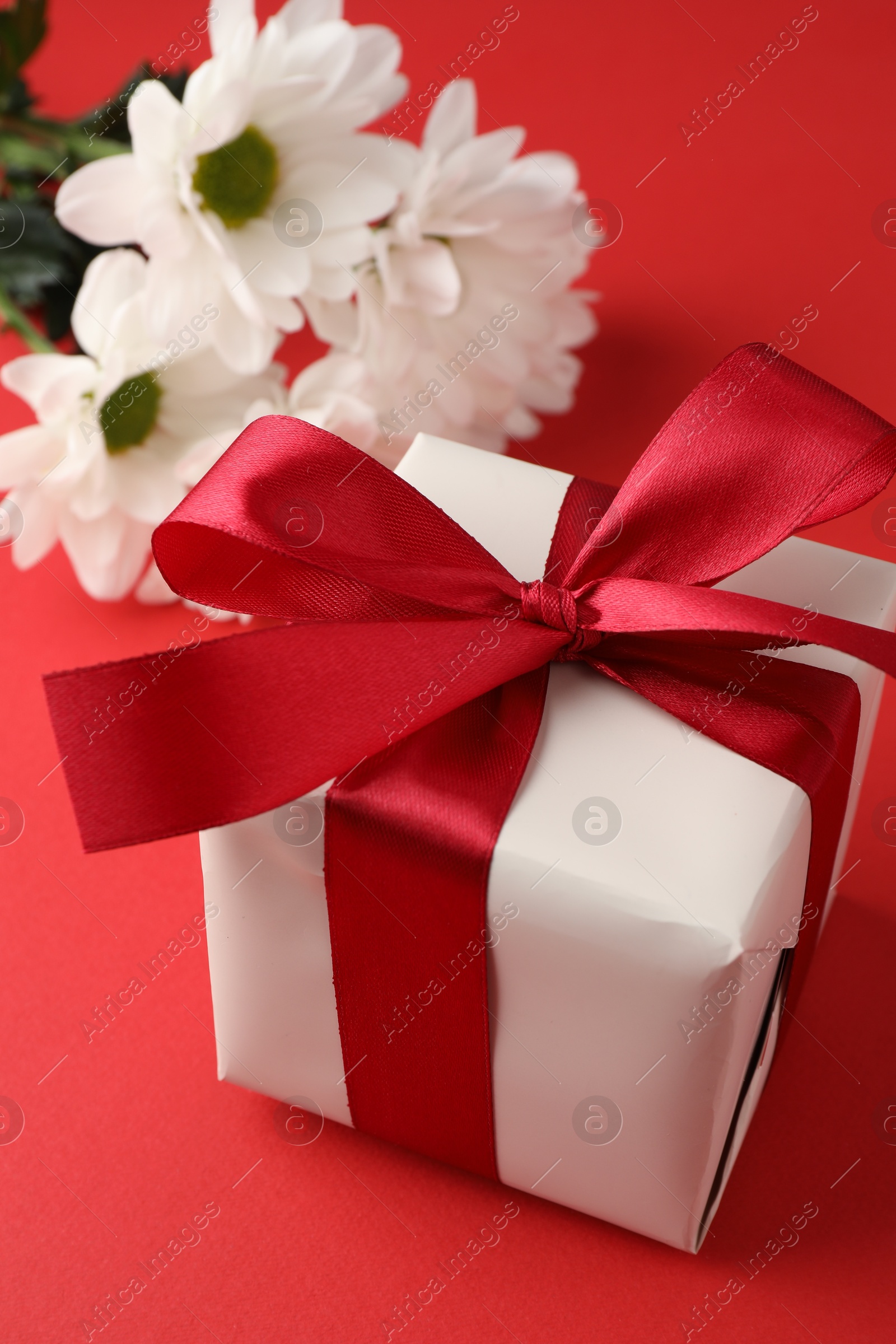 Photo of Gift box with bow and flowers on red background, closeup