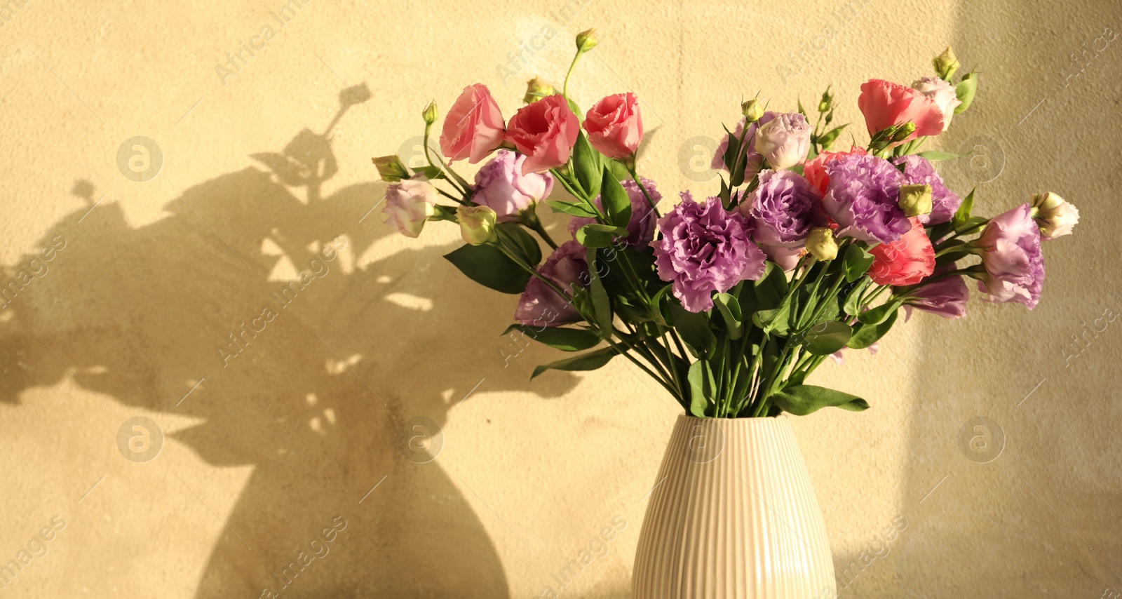 Photo of Vase with beautiful eustoma flowers near beige wall, closeup. Space for text