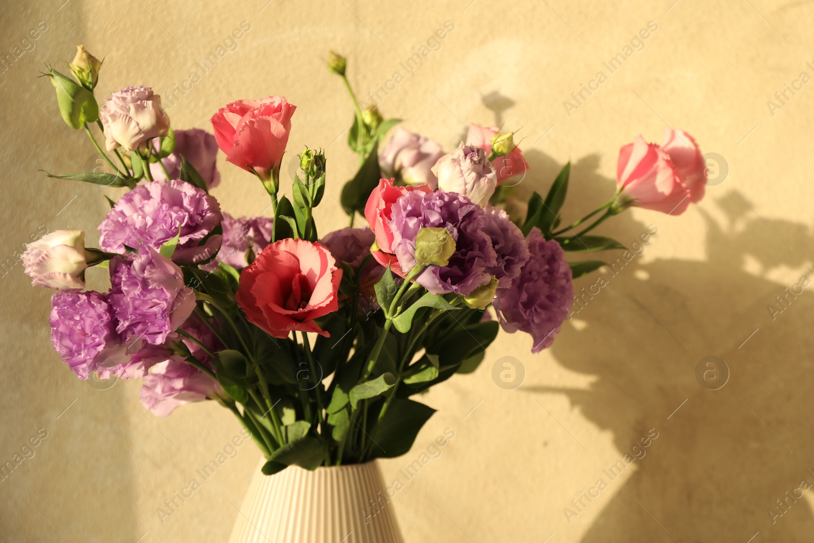 Photo of Vase with beautiful eustoma flowers near beige wall, closeup