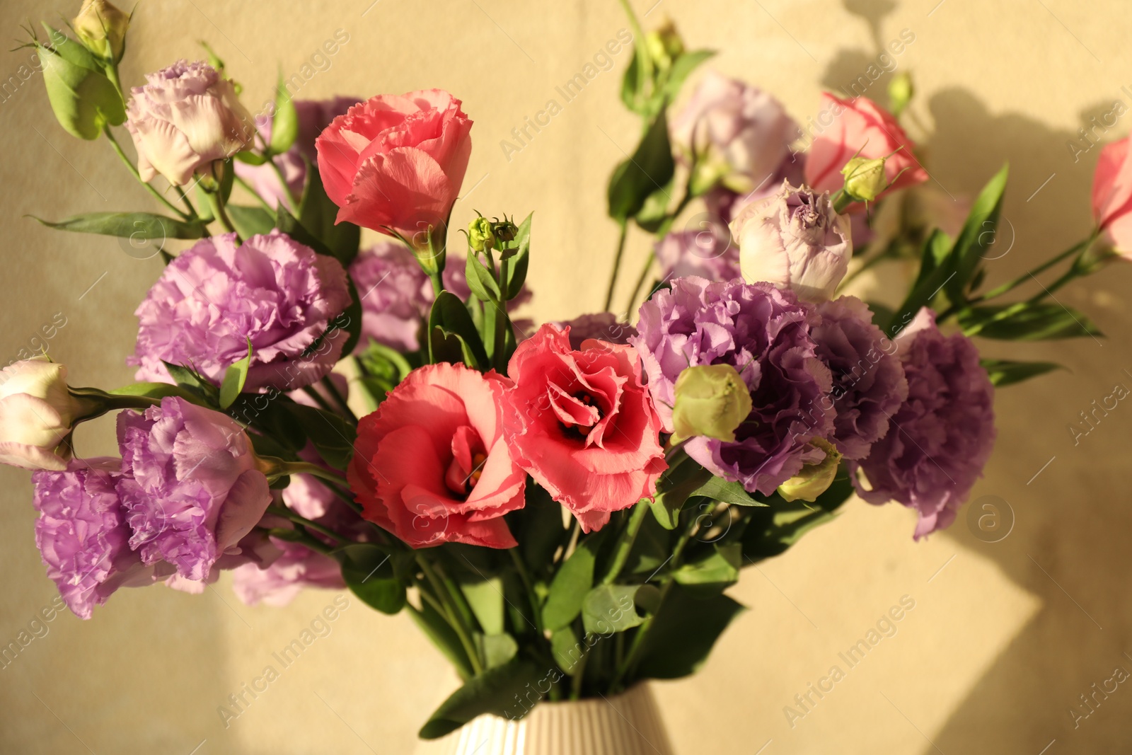 Photo of Vase with beautiful eustoma flowers near beige wall, closeup