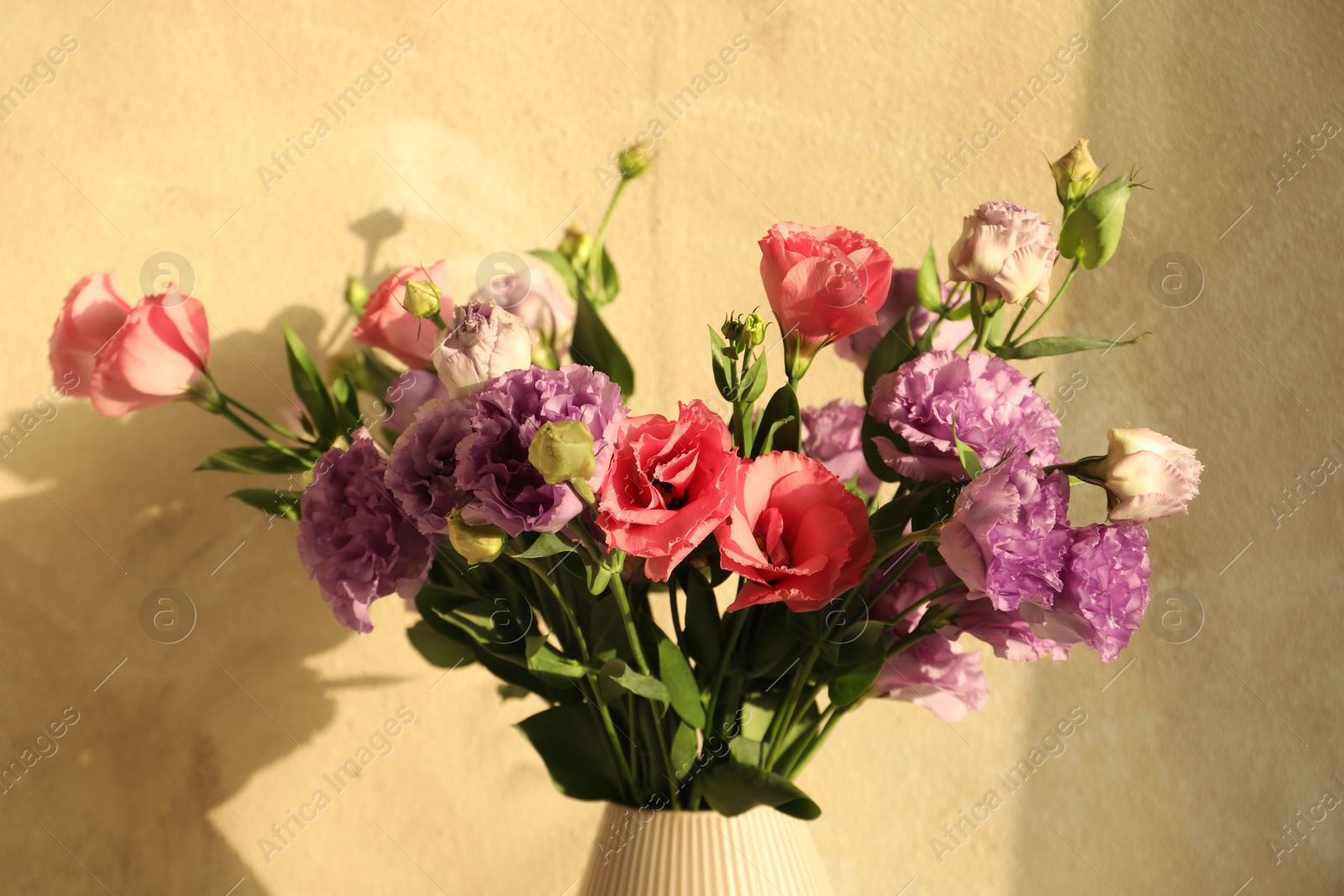 Photo of Vase with beautiful eustoma flowers near beige wall, closeup