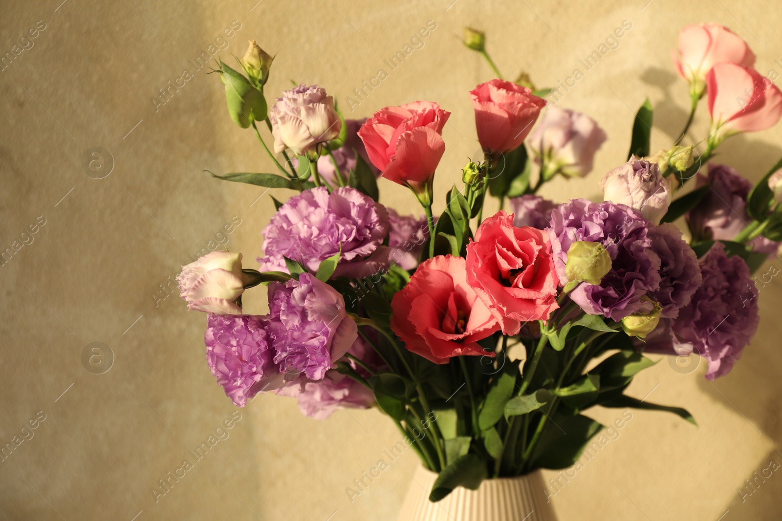 Photo of Vase with beautiful eustoma flowers near beige wall, closeup