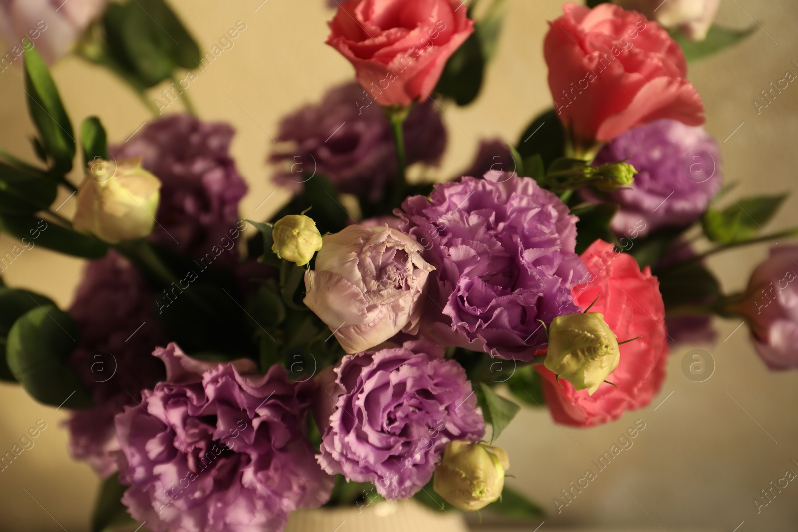 Photo of Vase with beautiful eustoma flowers near beige wall, closeup