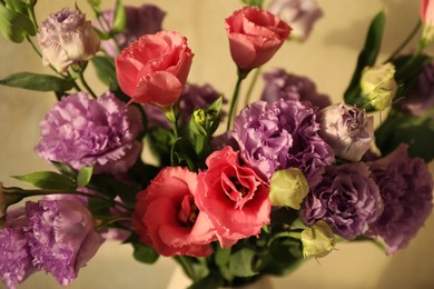 Vase with beautiful eustoma flowers near beige wall, closeup