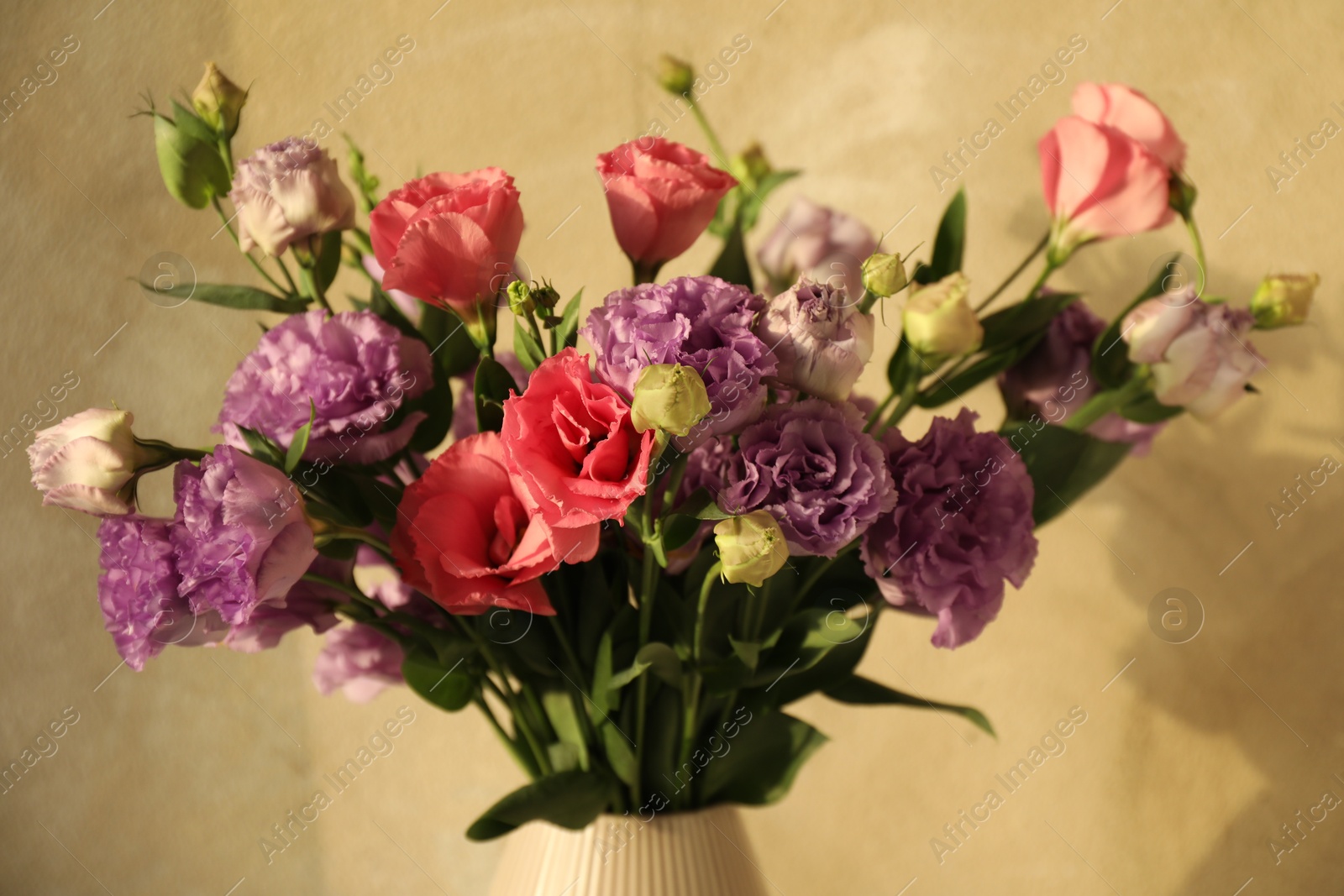 Photo of Vase with beautiful eustoma flowers near beige wall, closeup