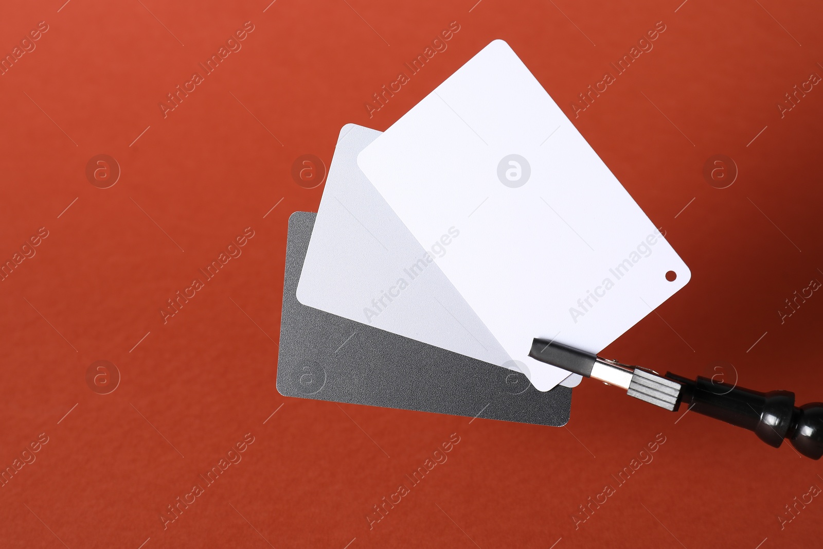 Photo of White balance calibration cards on red background