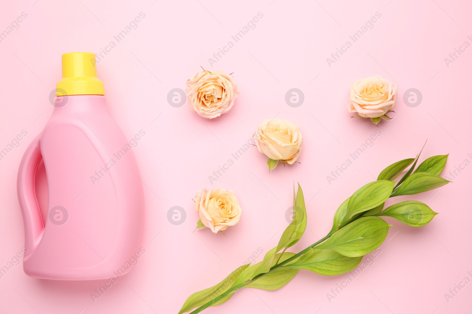 Photo of Bottle of laundry detergent, green branch and flowers on pink background, closeup