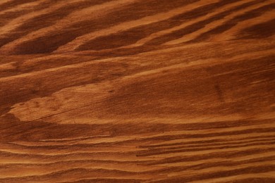 Photo of Applying walnut wood stain. Texture of wooden surface as background, top view