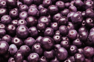 Photo of Ripe acai berries as background, closeup view