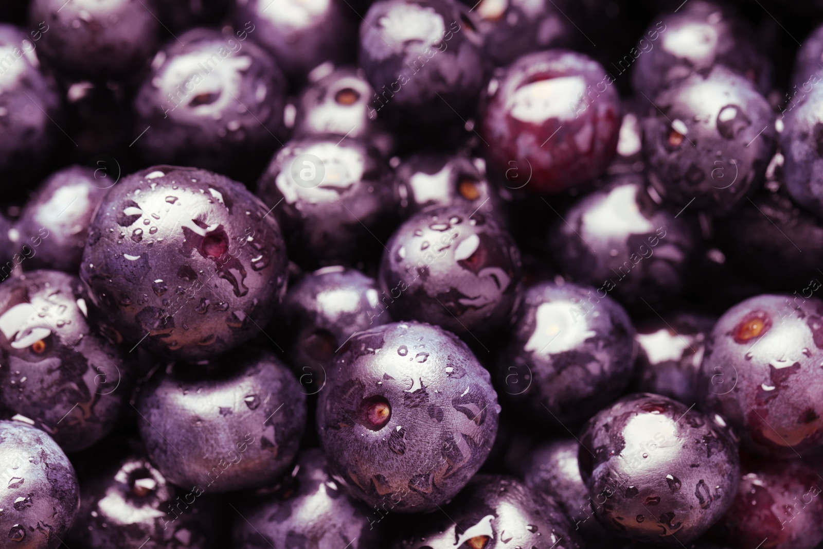 Photo of Wet acai berries as background, closeup view