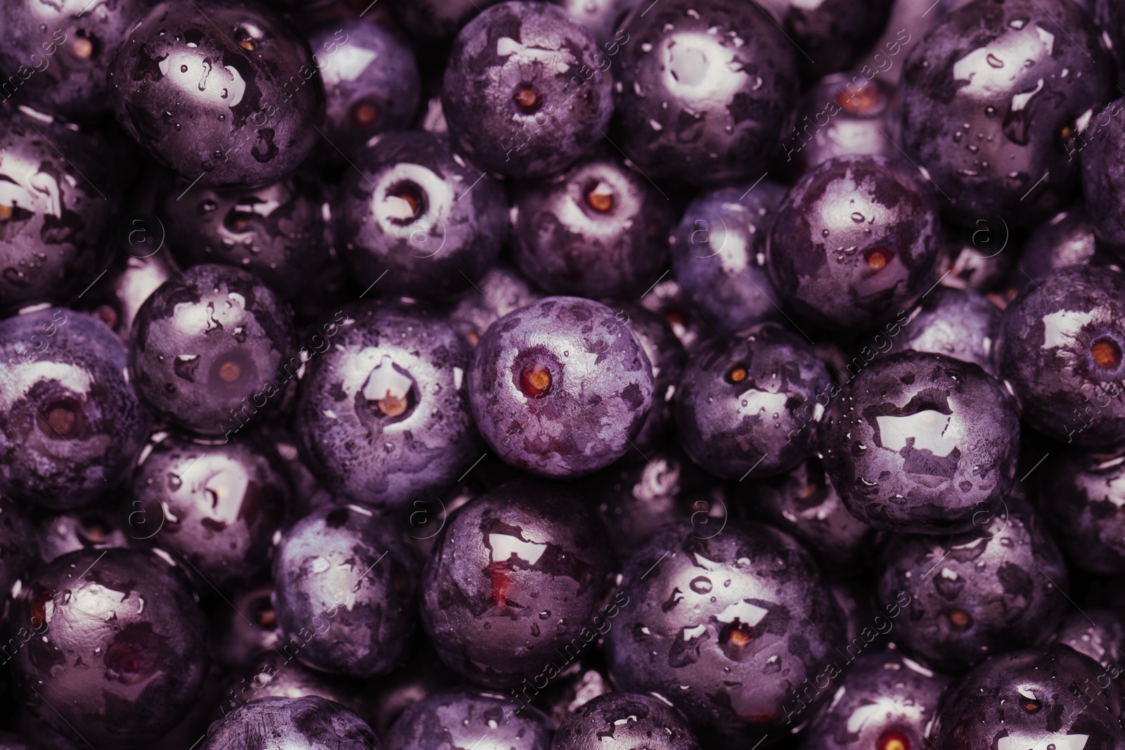 Photo of Wet acai berries as background, closeup view