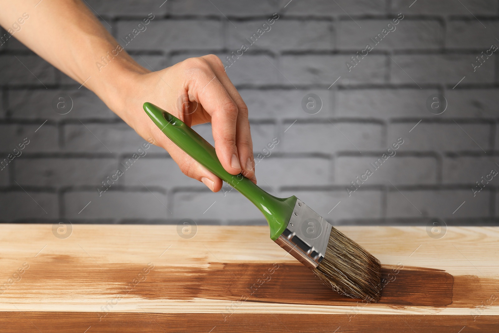 Photo of Woman with brush applying walnut wood stain onto wooden surface, closeup