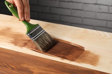 Photo of Woman with brush applying walnut wood stain onto wooden surface, closeup