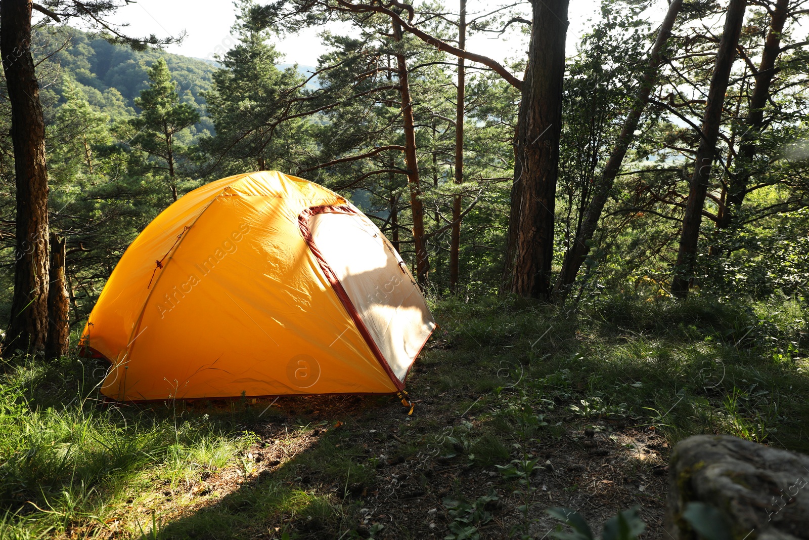 Photo of Modern camping tent in forest at summer, space for text