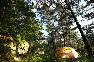 Photo of Modern camping tent in forest at summer, space for text