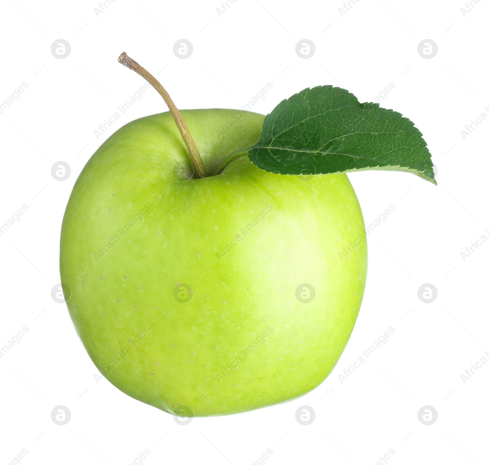 Photo of One fresh green apple isolated on white