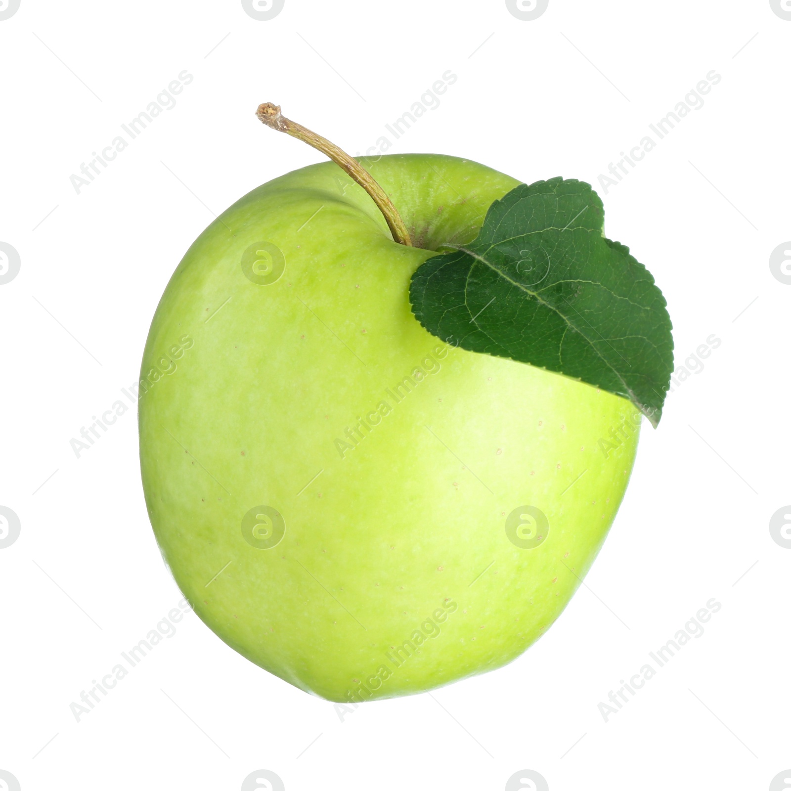 Photo of One fresh green apple isolated on white