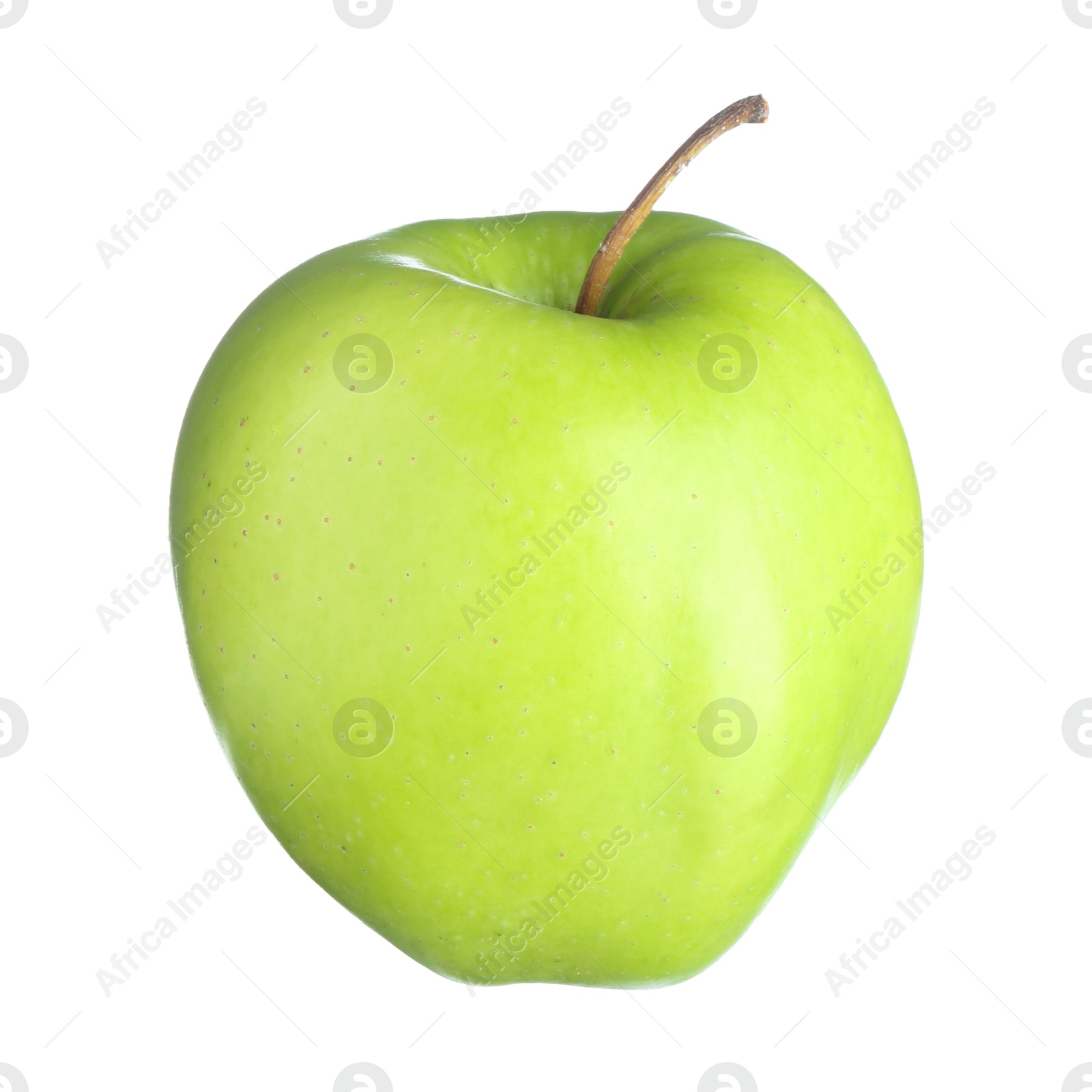 Photo of One fresh green apple isolated on white