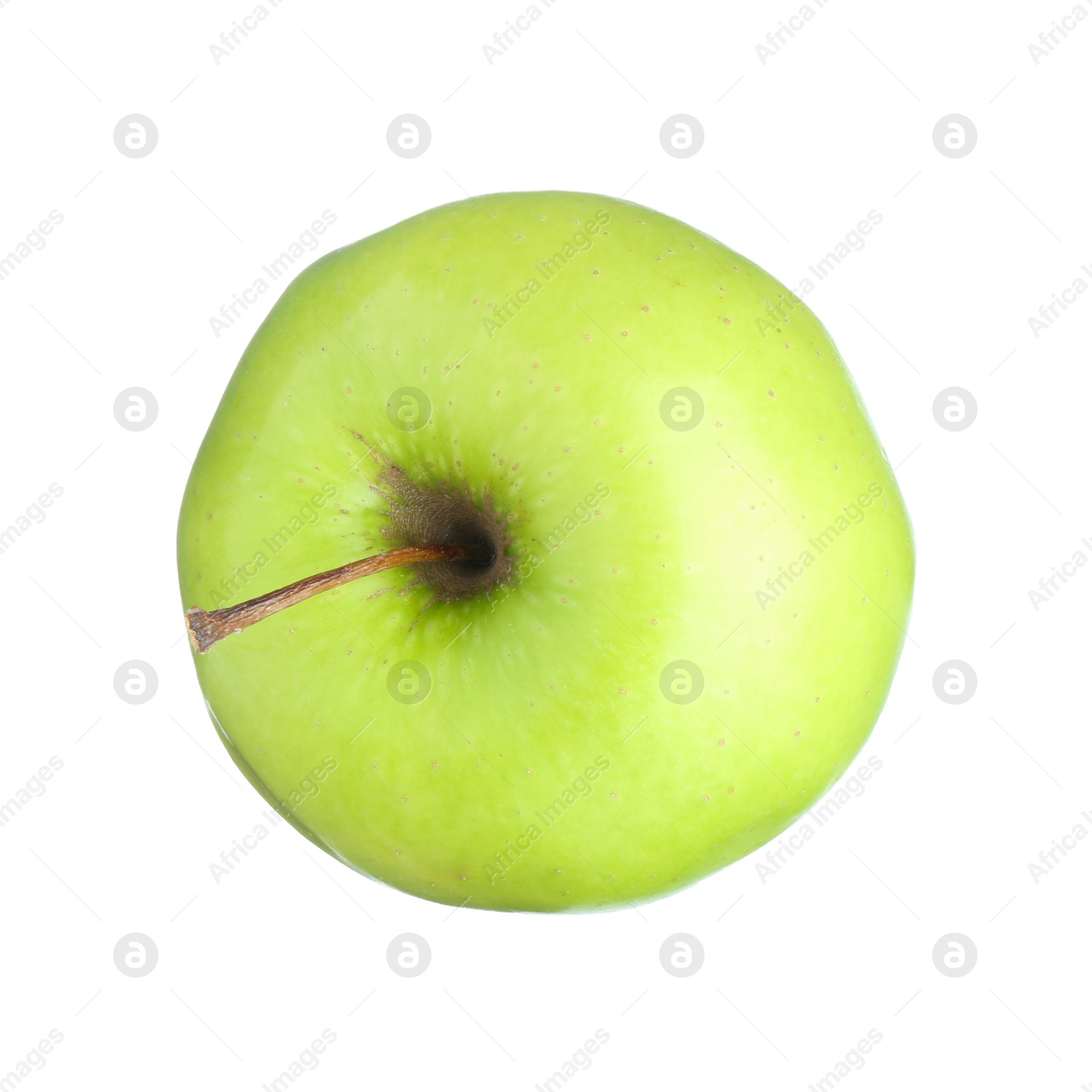 Photo of One fresh green apple isolated on white