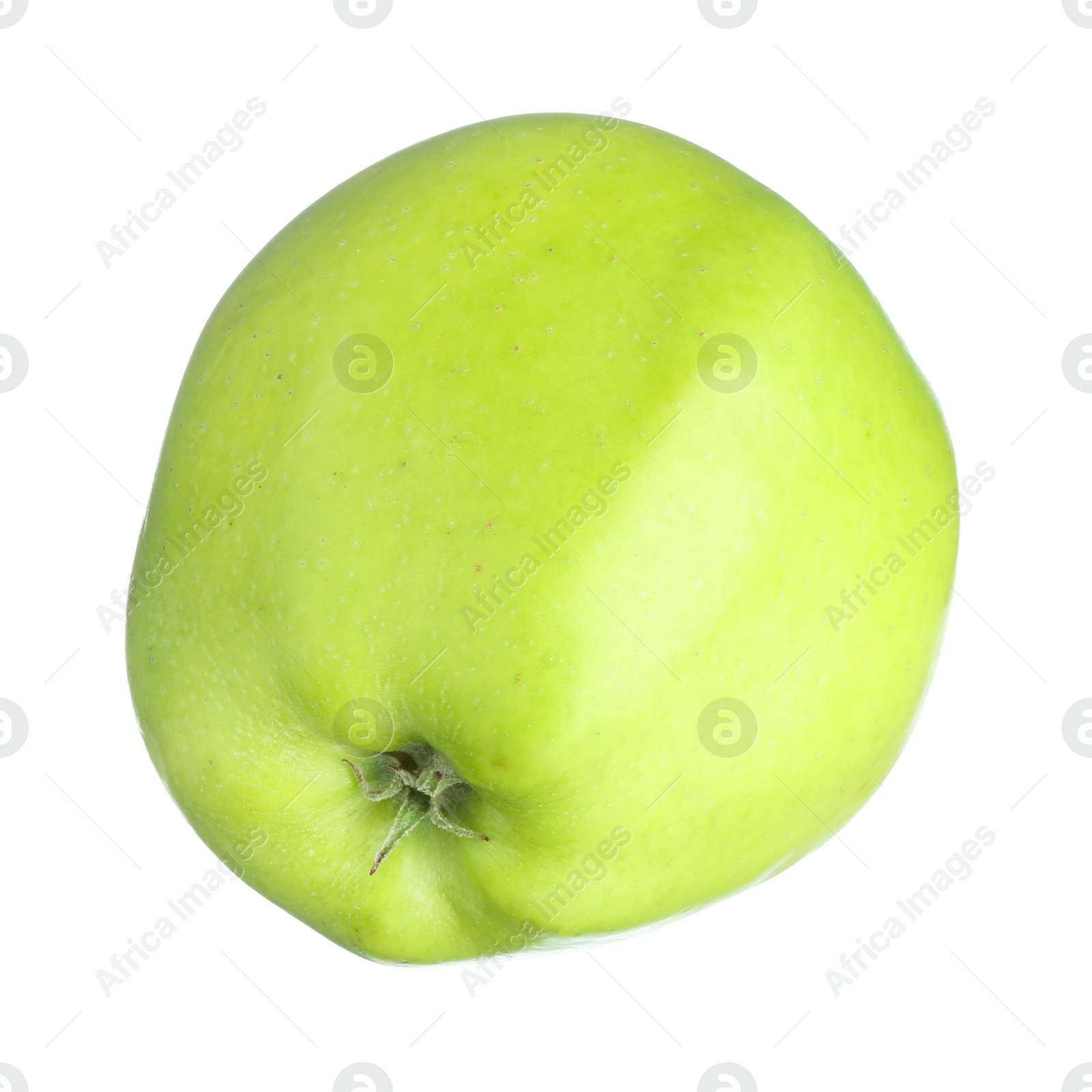 Photo of One fresh green apple isolated on white