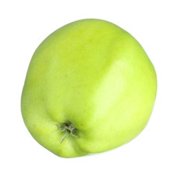 Photo of One fresh green apple isolated on white