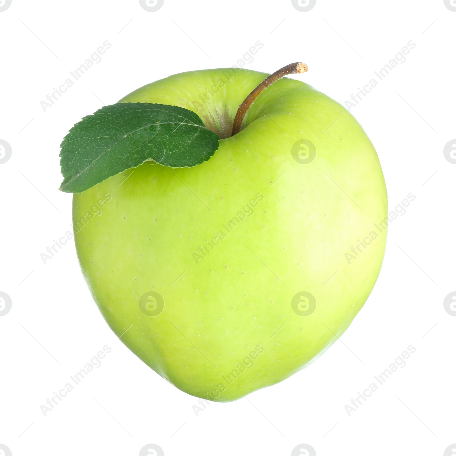 Photo of One fresh green apple isolated on white