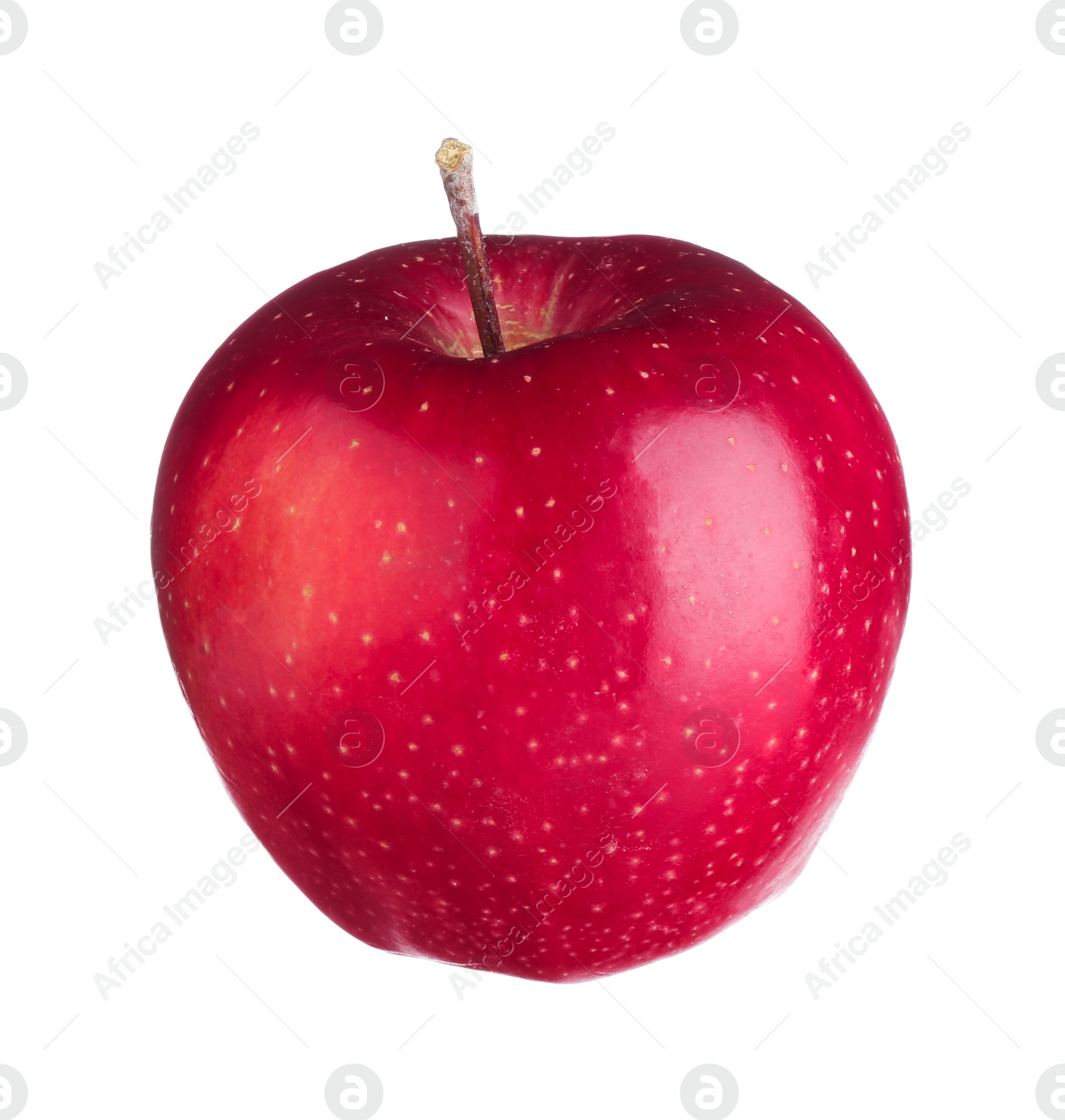 Photo of One fresh red apple isolated on white