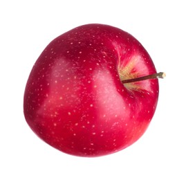 Photo of One fresh red apple isolated on white