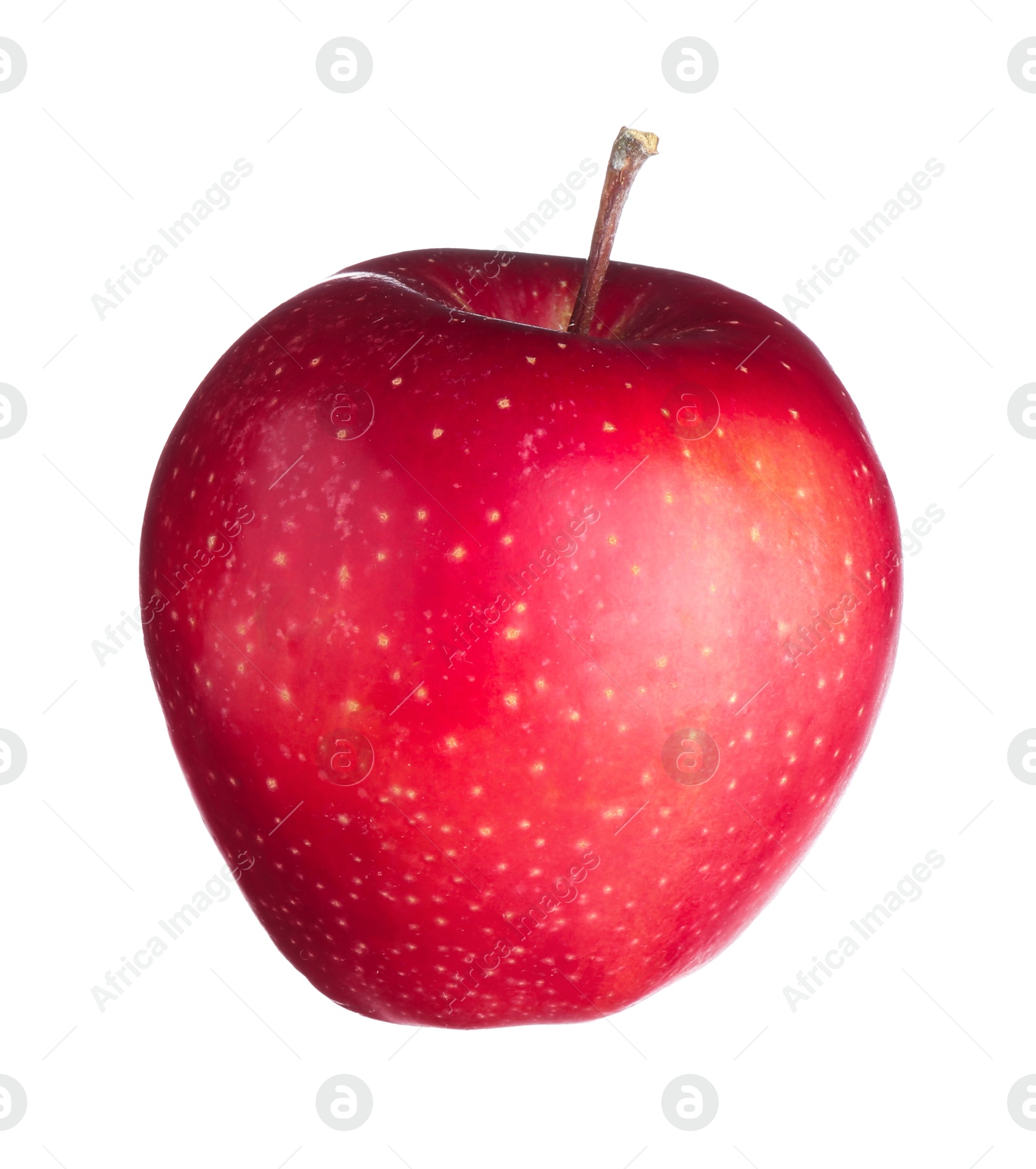 Photo of One fresh red apple isolated on white