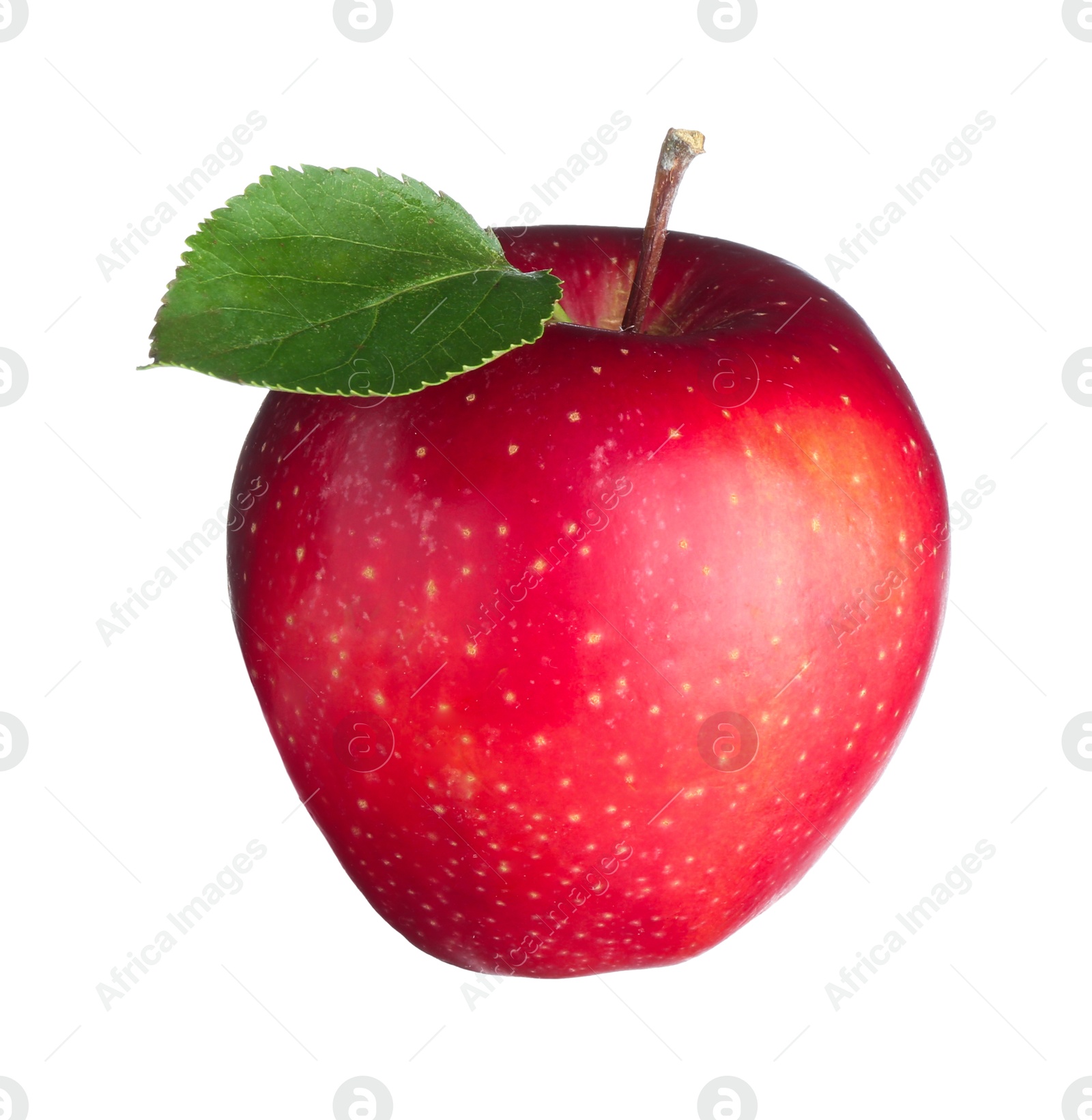 Photo of One fresh red apple isolated on white