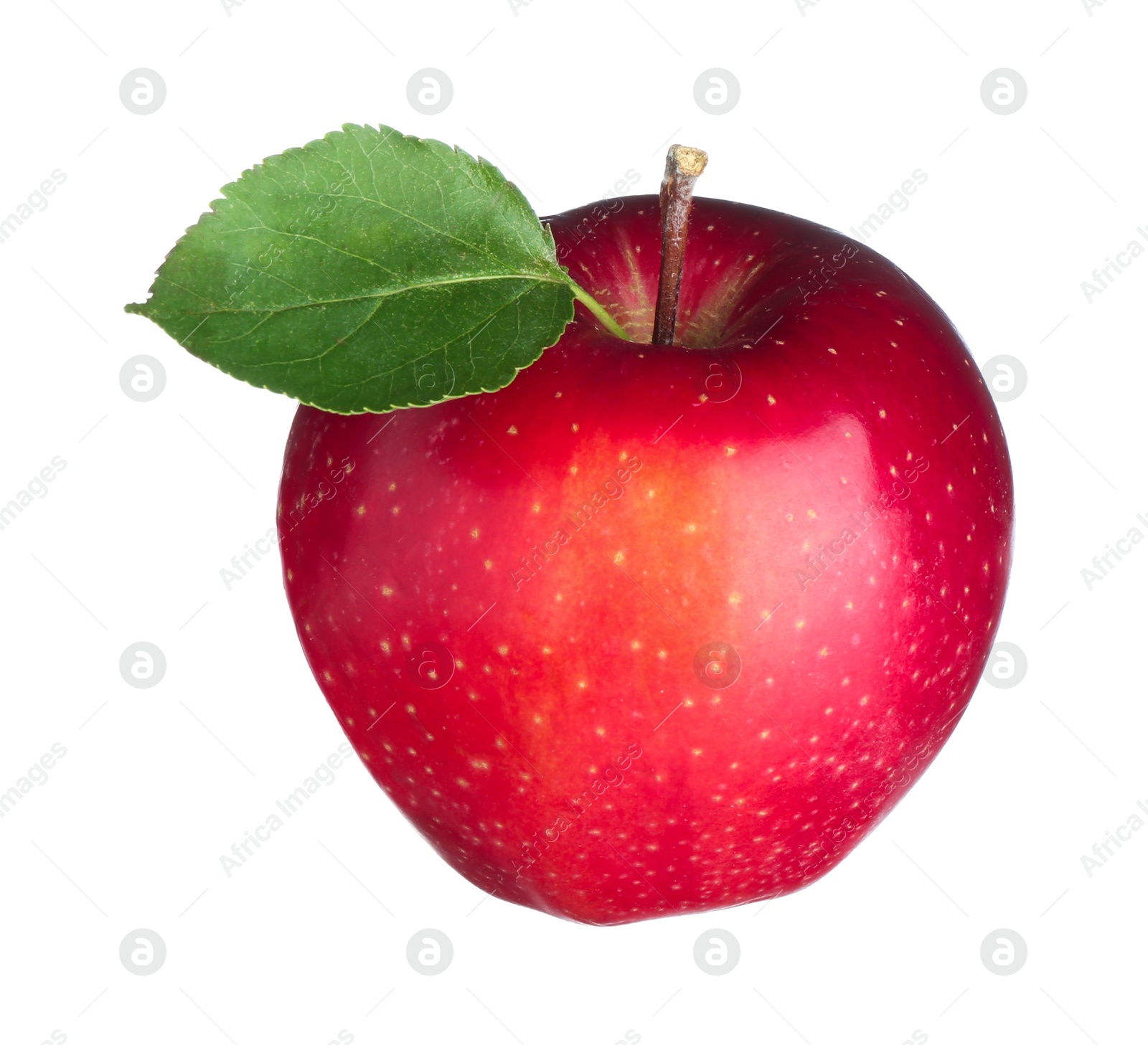 Photo of One fresh red apple isolated on white