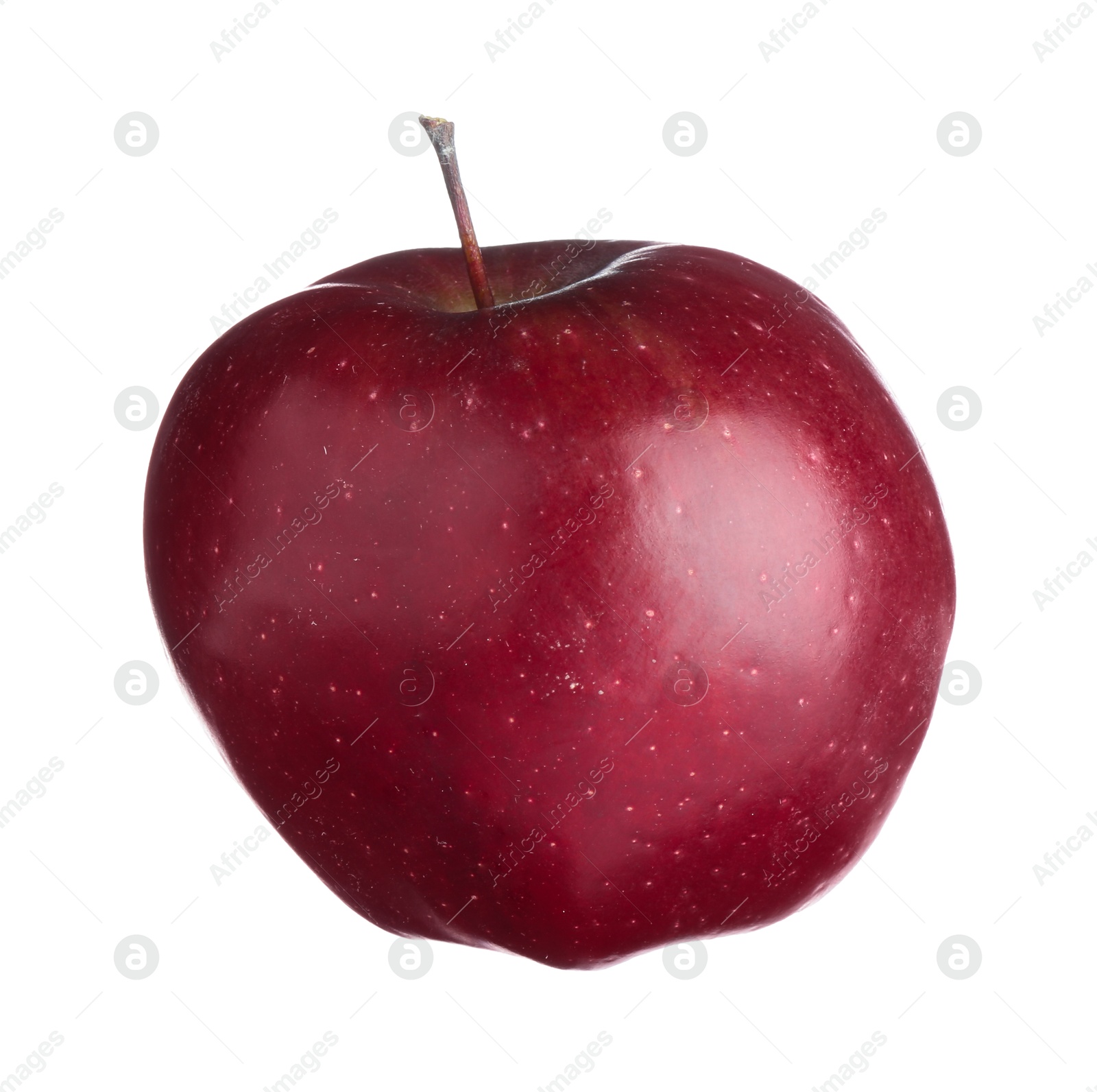 Photo of One fresh red apple isolated on white