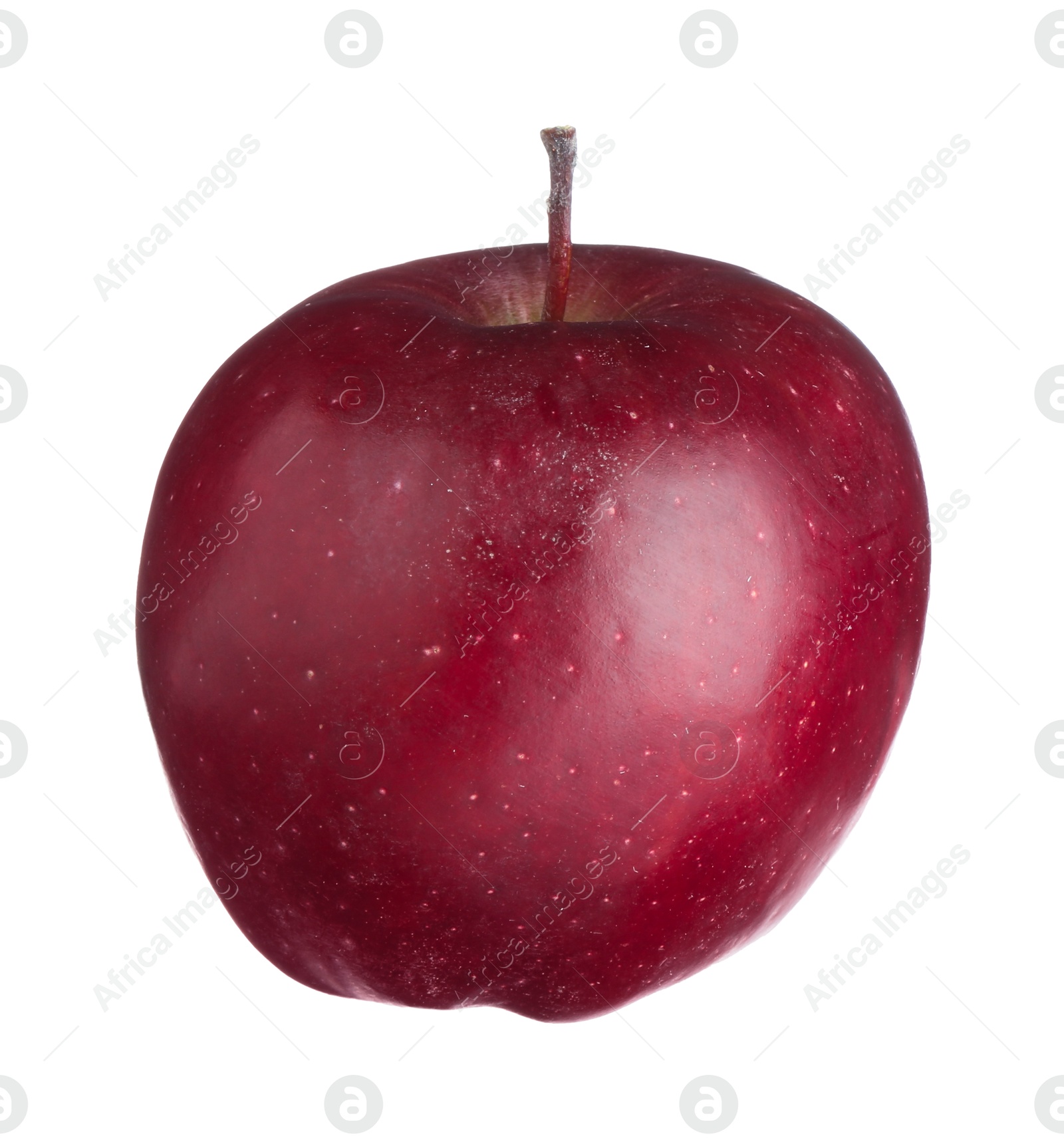 Photo of One fresh red apple isolated on white