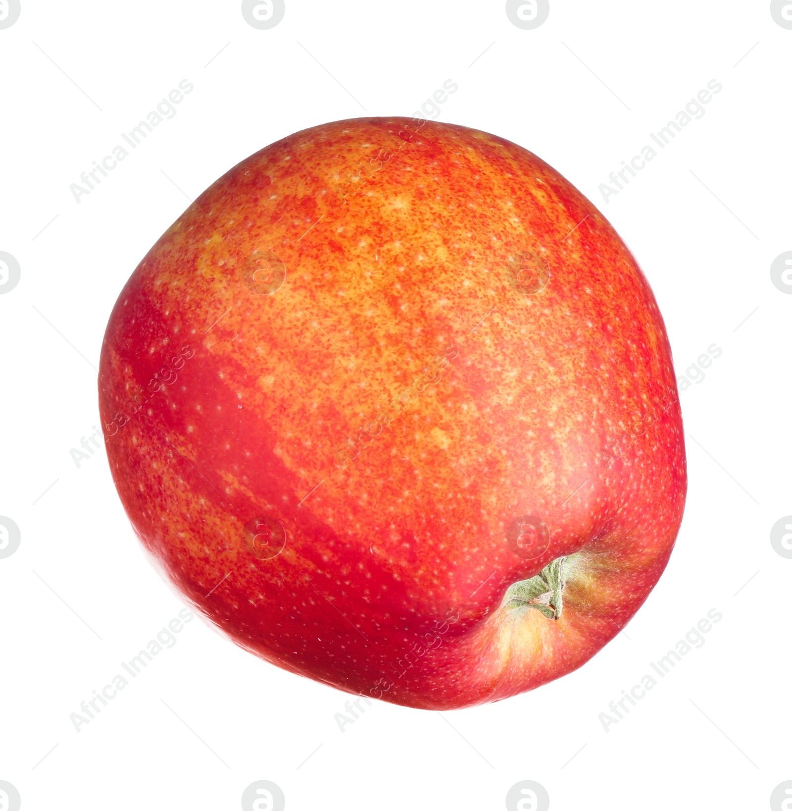 Photo of One fresh red apple isolated on white