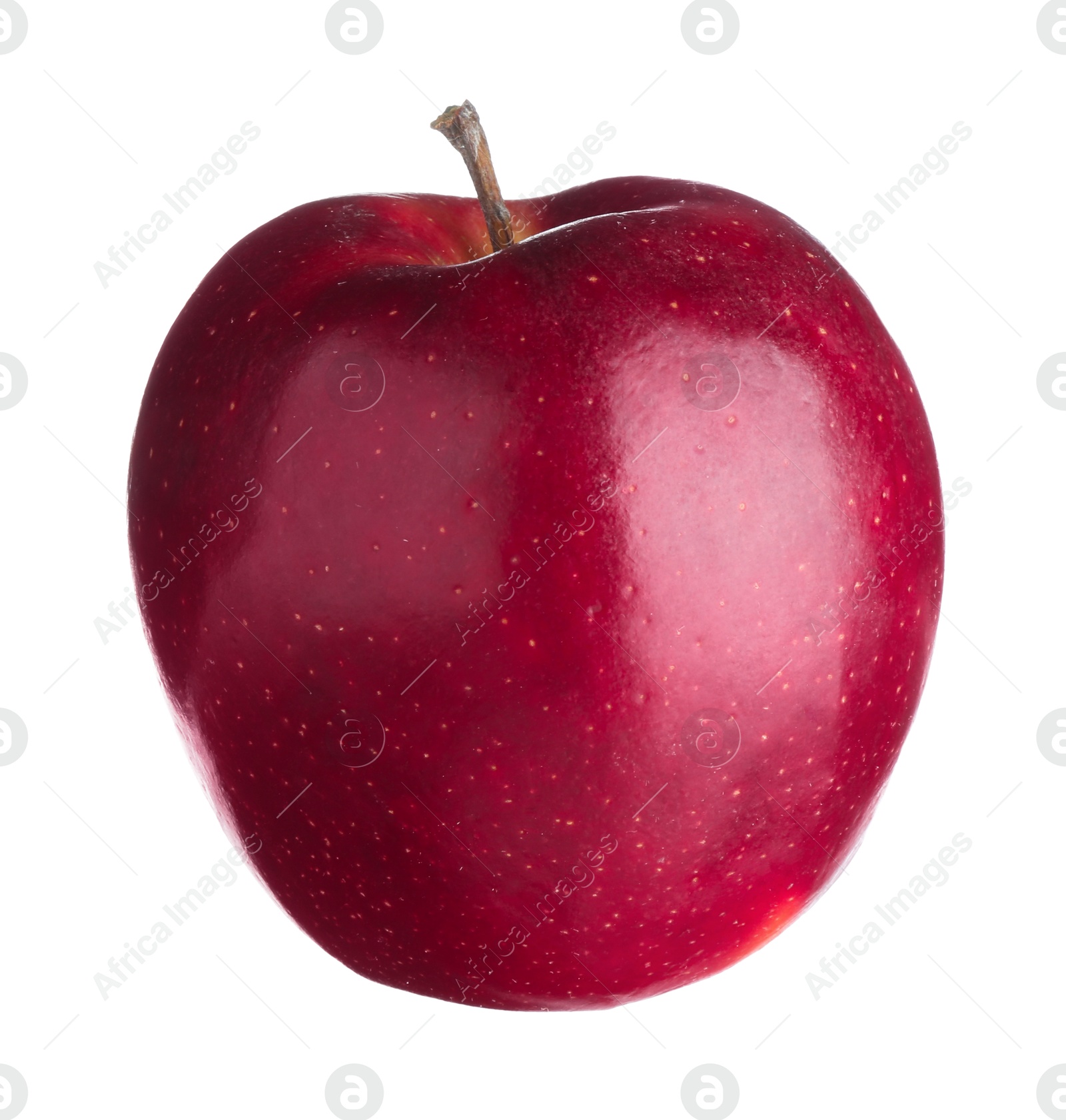 Photo of One fresh red apple isolated on white