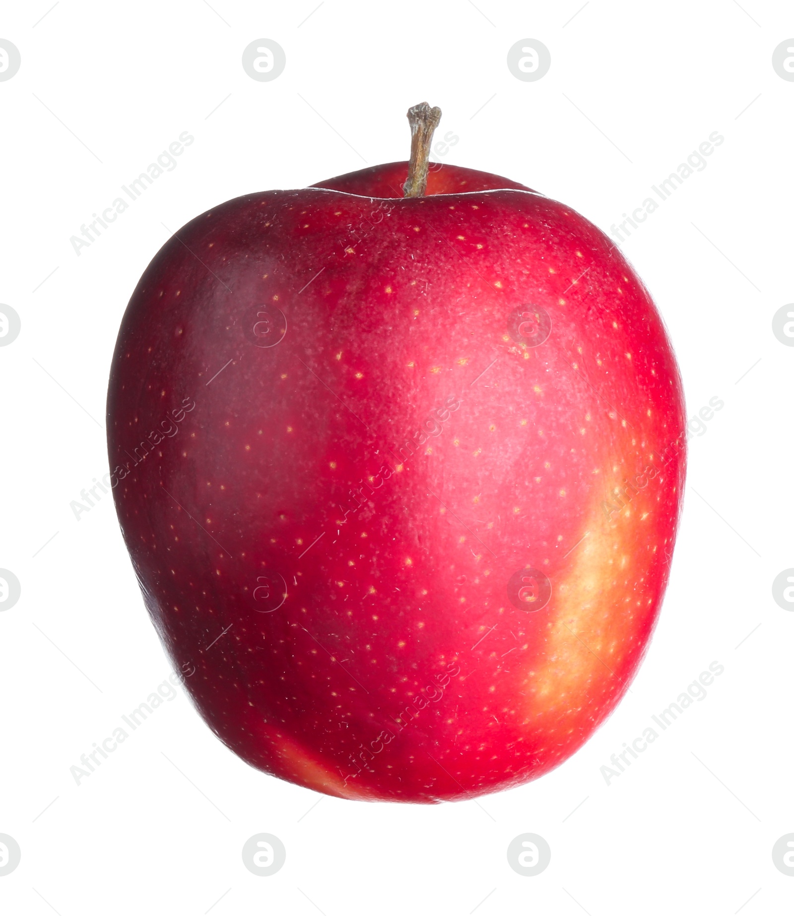 Photo of One fresh red apple isolated on white