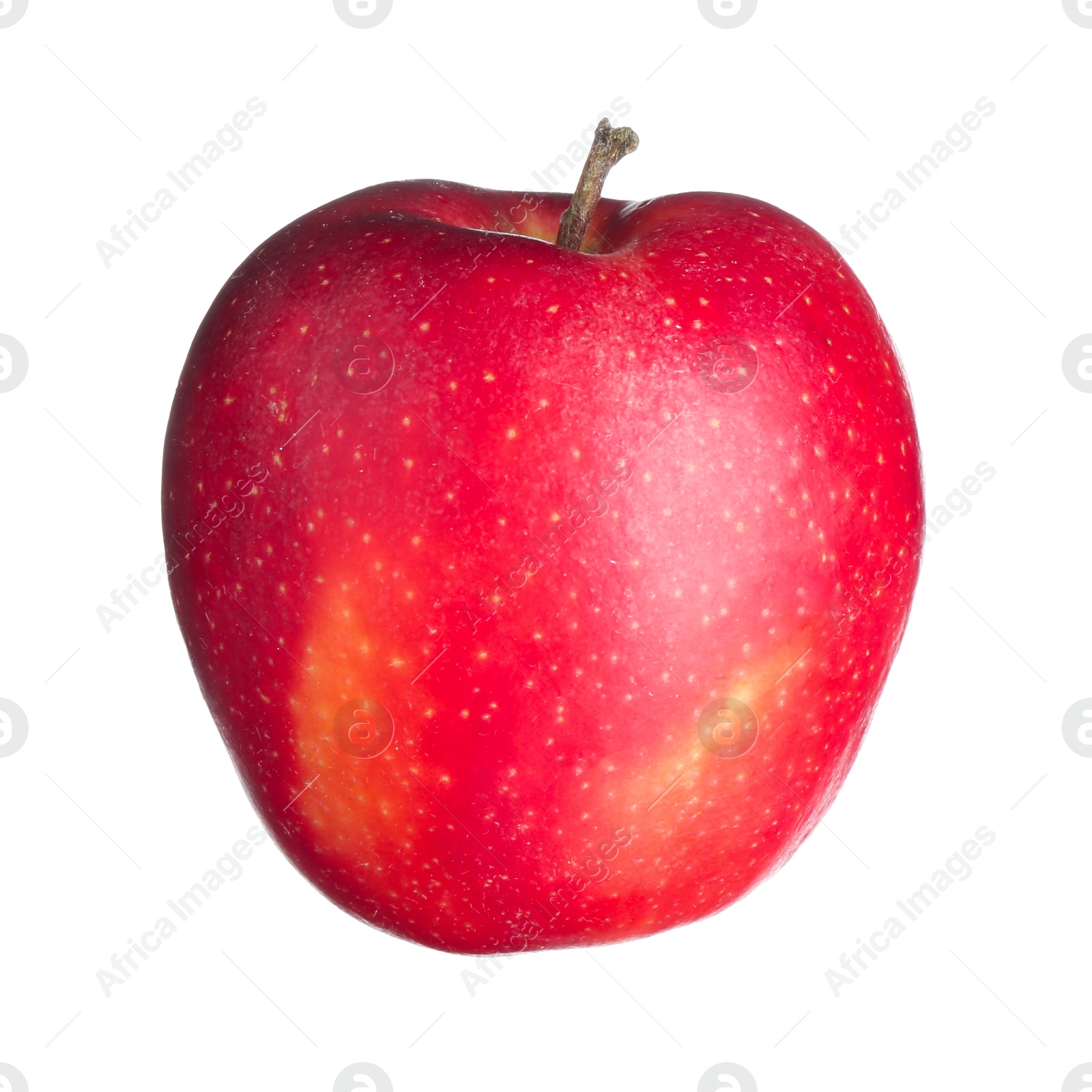 Photo of One fresh red apple isolated on white